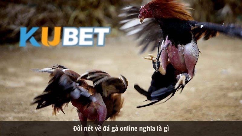 Đá gà online Kubet