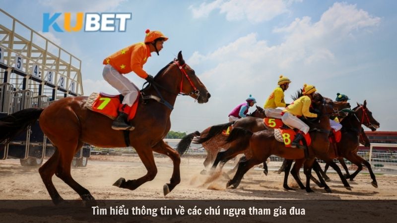 Đua ngựa Kubet thắng cược nhận thưởng