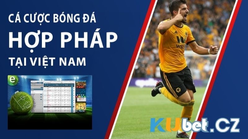 Luật cá độ bóng đá hợp pháp tại Việt Nam