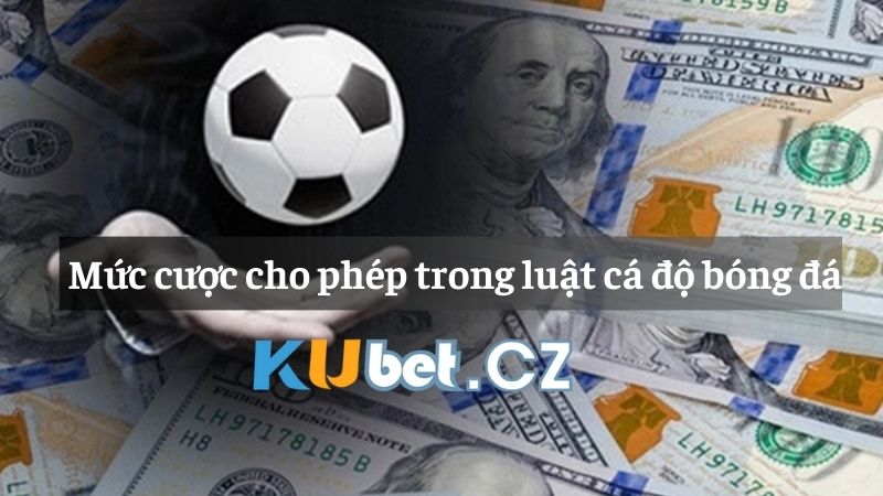 Mức cược cho phép trong luật cá độ bóng đá